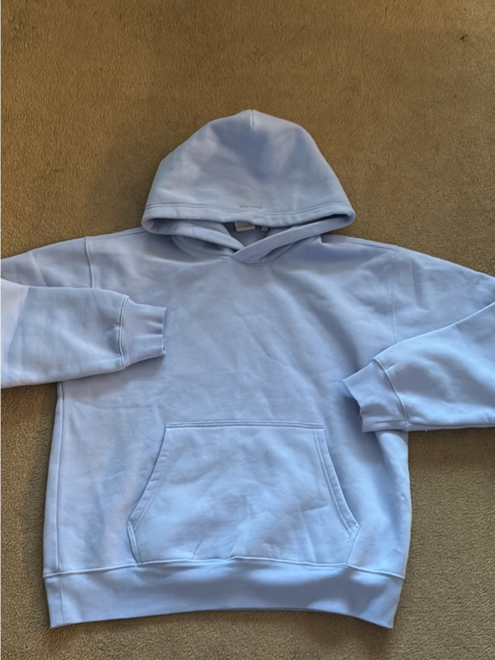 Aritzia Light Blue Sweatfleece Hoodie